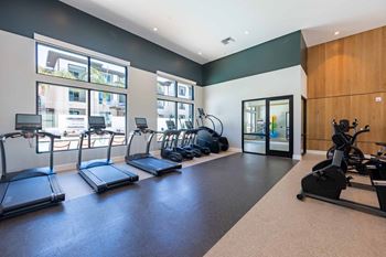Gym with treadmills
